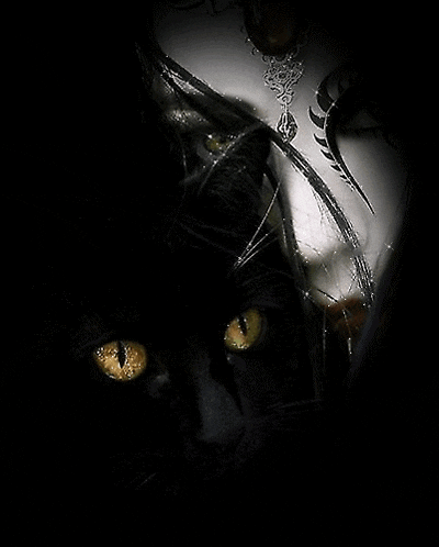 a close up of a black cat 's face with yellow eyes