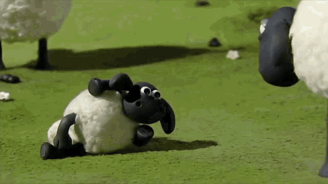 a cartoon sheep is laying on its back on the grass .