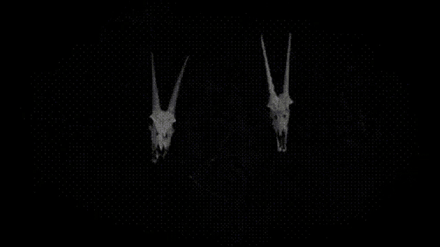 a black and white photo of a person holding a pair of skulls