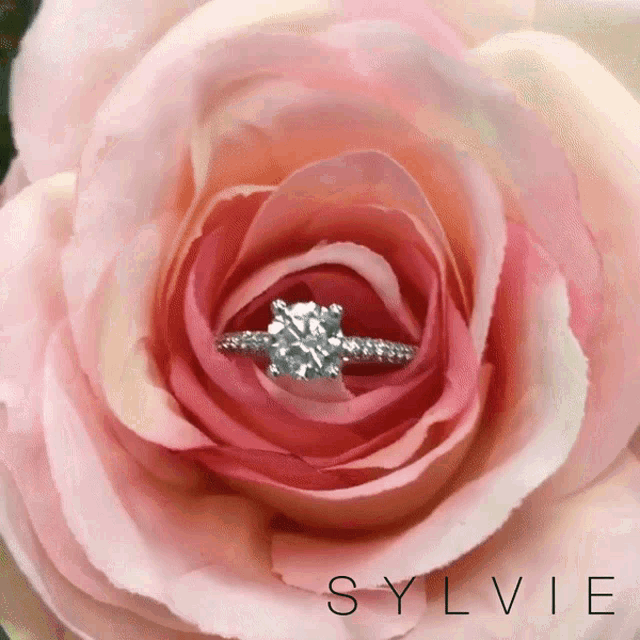 Engagement Ring Engagement Ring In A Rose GIF - Engagement Ring Engagement Ring In A Rose I Love You Very Much GIFs