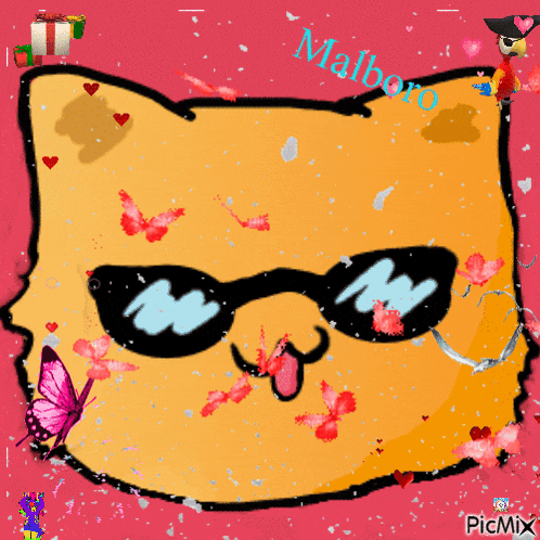 a picture of a cat wearing sunglasses with the name malboro on the bottom