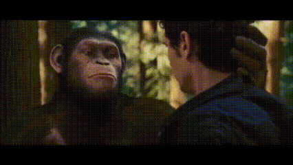a man and a monkey are looking at each other through a fence