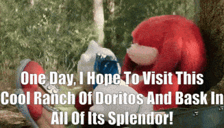 a picture of knuckles and sonic with the caption one day i hope to visit this cool ranch of doritos and bask in