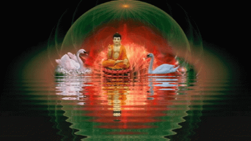 Lord Buddha Swan GIF