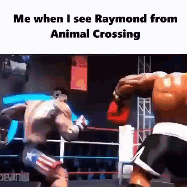 Meme Mw When I See Raymond From Animal Crossing GIF - Meme Mw When I See Raymond From Animal Crossing Fight GIFs
