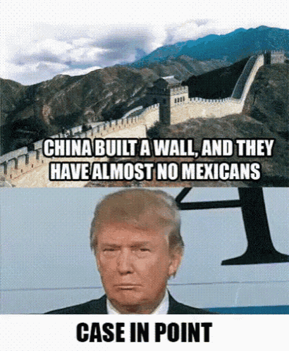 Trump Donald Trump GIF - Trump Donald Trump Build A Wall GIFs