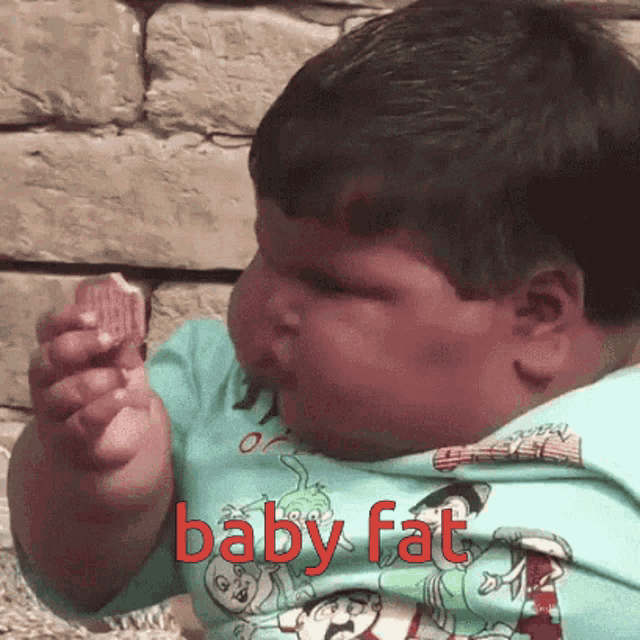 B Aby Fat GIF - B Aby Fat GIFs