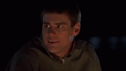 Lloyd GIF - Dumb And Dumber Yeah We Are In The Rockies GIFs