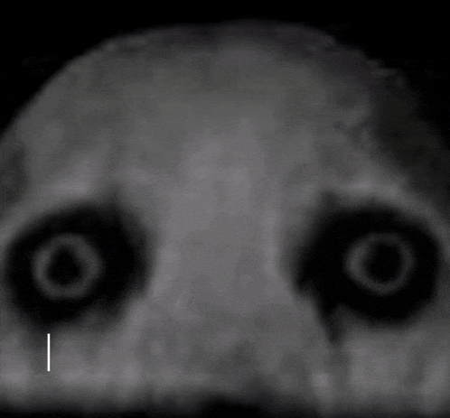 a black and white photo of a person 's face with the word thy in white letters
