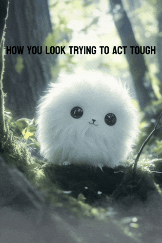 a picture of a stuffed animal with the words " how you look trying to act tough " above it