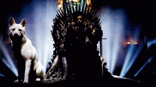 Game Of Thrones Throne GIF - Game Of Thrones Throne Dog GIFs