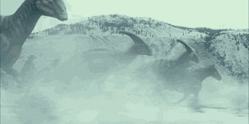 a herd of dinosaurs are walking through a foggy field .