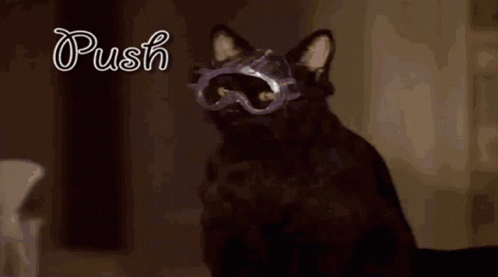 Salem Salem Saberhagen GIF - Salem Salem Saberhagen Mad Science GIFs