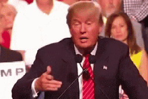 donald trump is giving a speech in front of a crowd at a campaign event .