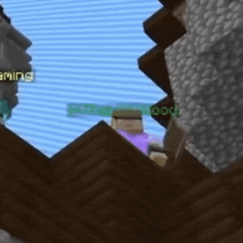 a person in a purple shirt is standing in front of a building in a minecraft video game .
