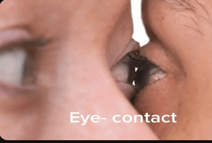 Eye Contact Meme GIF - Eye Contact Meme GIFs