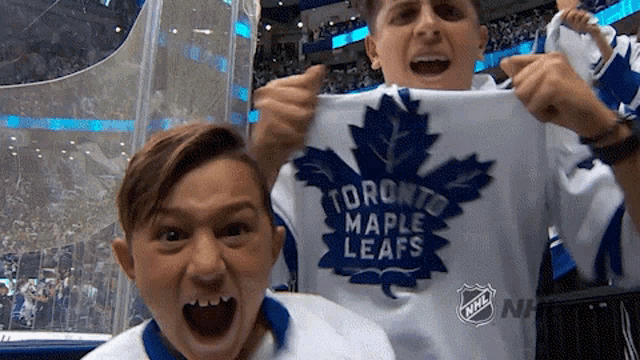 Toronto Maple Leafs Nhl GIF