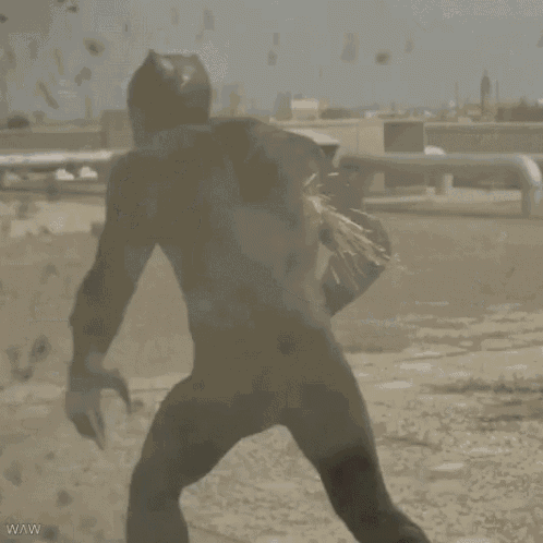 a close up of a black panther standing in the dirt .