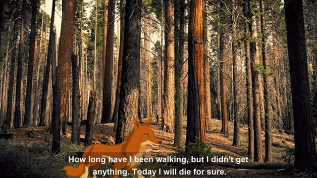 a fox in a forest with the words how long have i been walking but i didn t get anything