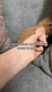a person is petting a dog 's paw and says this is me when you 're being mean to me