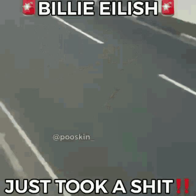 a picture of a road with billie eilish just took a shit