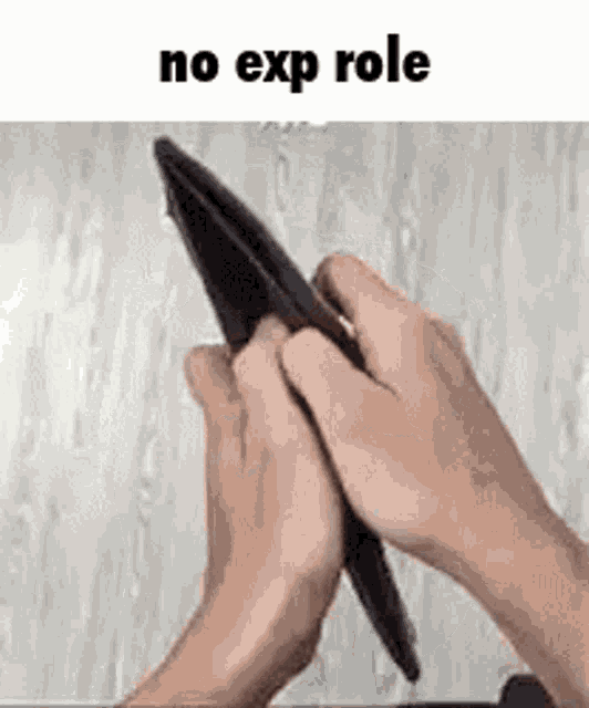 No Exp No Exp Role GIF
