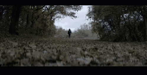 a woman is walking down a path covered in leaves .