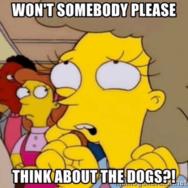 bart simpson - won t somebody please think about the dogs ? !