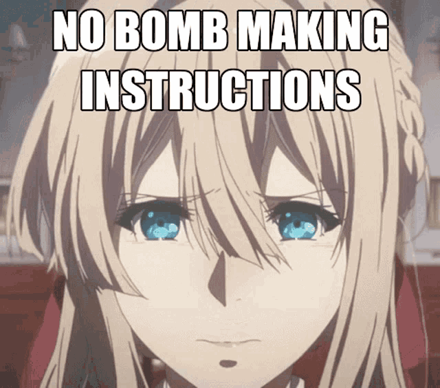 a picture of a girl with the words no bomb making instructions on it