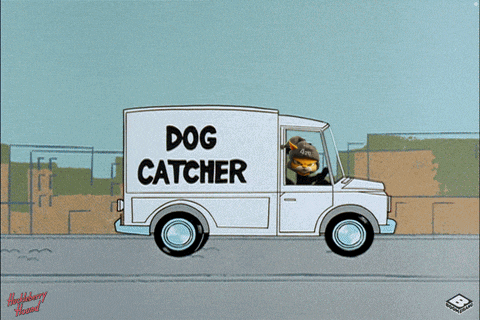 a cartoon of a dog catcher van driving down the road