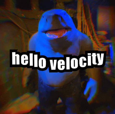 a picture of a shark with the words hello velocity on it