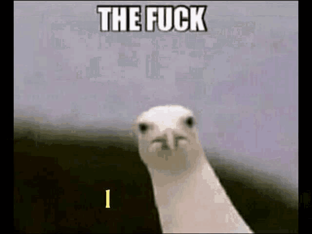 a close up of a bird with the words the fuck written above it