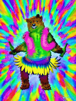 Dancing Bear Aloha Bear GIF - Dancing Bear Aloha Bear Drinking GIFs