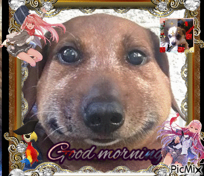 Good Morning Toten GIF - Good Morning Toten Tot3ntanzz GIFs