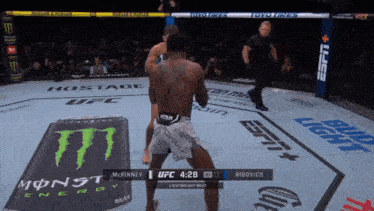 a ufc fight between mckinney and ribovics is being shown on espn