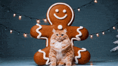 a cat is sitting on a gingerbread man