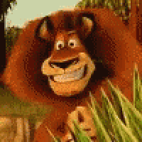 a close up of a cartoon lion smiling in the grass .