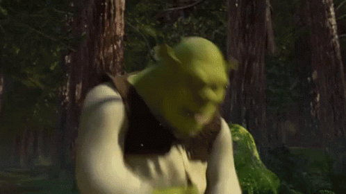 Shrek Shrek2 GIF - Shrek Shrek2 Shocked GIFs