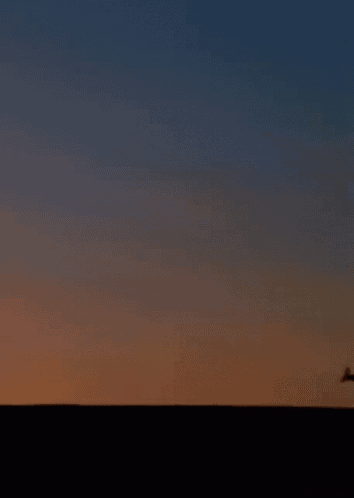 a kangaroo is jumping in the air against a sunset sky