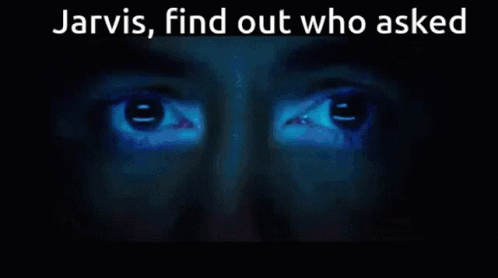 Jarvis Iron Man GIF - Jarvis Iron Man Who Asked GIFs