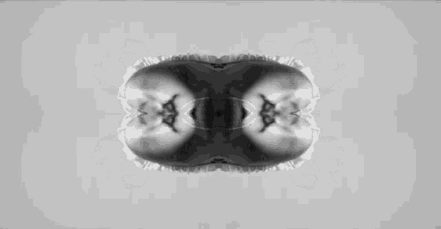 Kaleidoscope Black And White GIF - Kaleidoscope Black And White 12little Spells GIFs