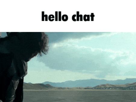 a person standing in a field with the words hello chat written above them
