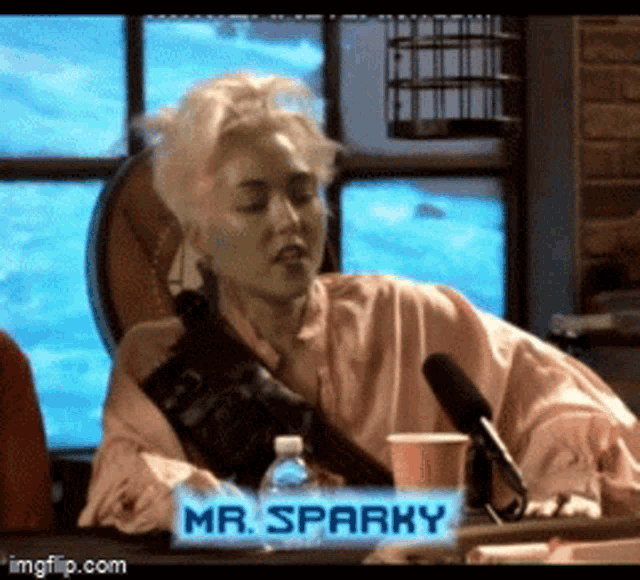 a woman is sitting at a table with a sign that says mr sparky