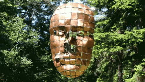 About Face GIF - Anthony Howe Art Face Art GIFs