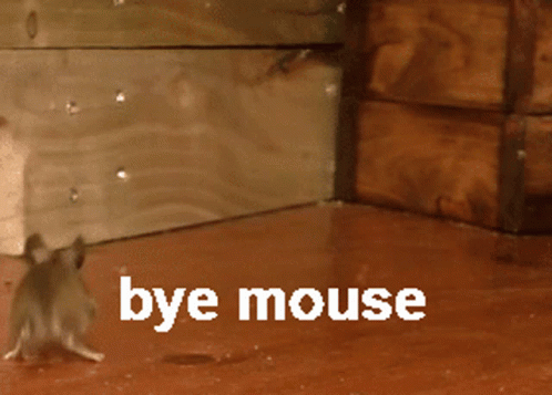 Bye Mouse Bye GIF - Bye Mouse Bye Mouse GIFs