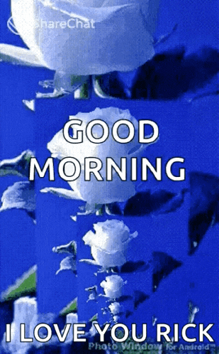 a blue background with white roses that says good morning i love you rick