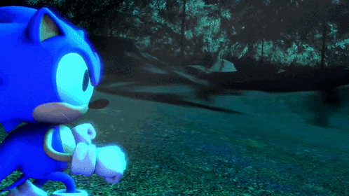 a cartoon of sonic the hedgehog fighting another character