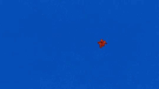 a piece of paper that says one piece on it