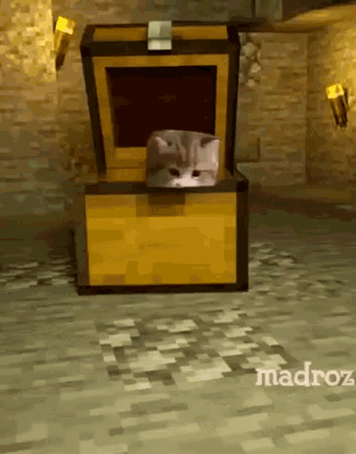 Cute Cat GIF - Cute Cat Mc GIFs