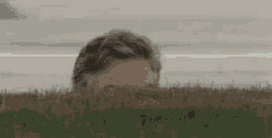 a man is peeking out from behind a lush green field of grass .